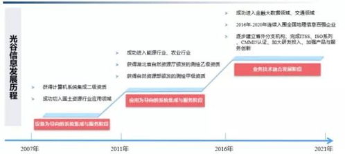 武漢唯一沖刺北交所IPO的信息系統(tǒng)集成服務企業(yè)